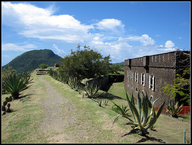 fort napoleon